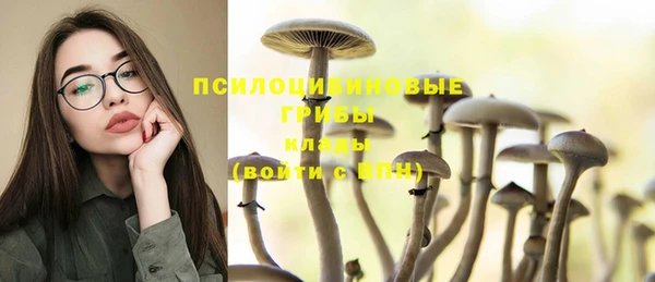 прущий лед Кукмор