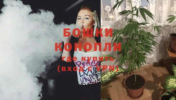 тгк Гусь-Хрустальный
