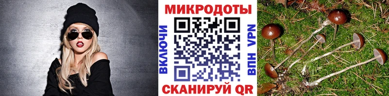 наркотики  Рыбинск  Галлюциногенные грибы MAGIC MUSHROOMS 